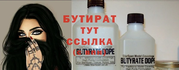 индика Верхний Тагил