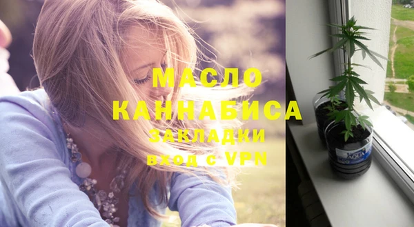 индика Верхний Тагил